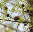 Фото: ПАИ - InformPskov.Ru