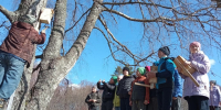 Новые скворечники появились в музее-усадьбе «Петровское» в Пушкинских Горах - Pln-Pskov.Ru
