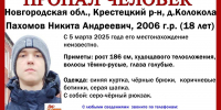 Пропавшего 18-летнего новгородца разыскивают в Псковской области. Иллюстрация: поисково-спасательный отряд «Феникс» - InformPskov.Ru