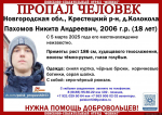 Пропавшего 18-летнего новгородца разыскивают в Псковской области. Иллюстрация: поисково-спасательный отряд «Феникс»