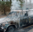 Автомобиль горел в Красногородском районе - InformPskov.Ru