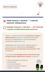 Мифы и факты о туберкулёзе