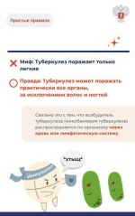 Мифы и факты о туберкулёзе