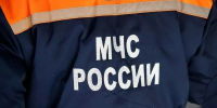 27 ландшафтных пожаров ликвидировали в Псковской области за сутки - Pln-Pskov.Ru