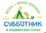 Весенний месячник по уборке объявлен в Пушкиногорском районе с 1 апреля