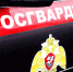 В областном центре сотрудники Росгвардии задержали псковичей, совершивших хищение из магазина - Росгвардия
