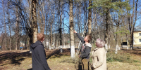 Начато благоустройство парка на улице Садовой в Пушкинских Горах - Pln-Pskov.Ru