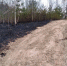 Особый противопожарный режим установили в Великолукском районе - Pln-Pskov.Ru