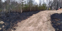 Особый противопожарный режим установили в Великолукском районе - Pln-Pskov.Ru