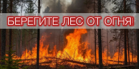 Не стань виновником лесного пожара! - МЧС Псковской области