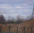 Фотофакт: Палы травы фиксируются в Псковском районе - Pln-Pskov.Ru