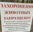 Фотофакт: Власти озаботились кладбищами домашних животных в Корытовском лесу - Pln-Pskov.Ru