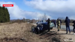 Четыре человека пострадали при столкновении двух автомобилей в Дедовичском районе