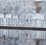 Фото: ПАИ - InformPskov.Ru