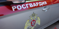 Сотрудники Псковской Росгвардии за минувшие сутки предотвратили серию хищений из магазинов - Росгвардия