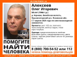 Мужчину в зеленой флисовой куртке разыскивают в пушкиногорской деревне Корнево