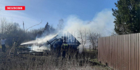 Собака погибла при пожаре в порховской Попадинке - InformPskov.Ru