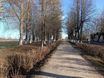 Новоржевцев призвали поучаствовать в субботниках в преддверии Святой Пасхи