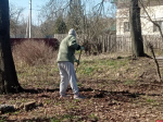 «Начни с себя»: псковичи продолжают традицию субботников