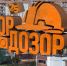Начинается видеотрансляция программы «ГорДозор»: Распилить и уничтожить - Pln-Pskov.Ru