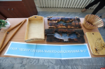 Чемпионат профессионального мастерства «Абилимпикс» стартовал в Пскове