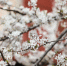 Фото: ПАИ - InformPskov.Ru