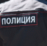 В Куньинском районе установлены подозреваемые в краже имущества у москвича - Pln-Pskov.Ru