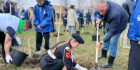 Жители Псковщины высаживают «Сады памяти» к 80-летию Великой Победы - Pln-Pskov.Ru