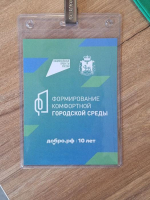 Более 550 волонтёров помогают жителям Псковской области голосовать за объекты благоустройства