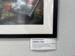 Фотовыставка Андрея Смольникова «Время для тишины» открылась в Доме офицеров в Пскове