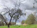 Участники возрождённого студенческого археологического кружка побывали в Изборске