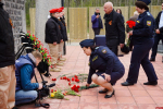 Останки найденного в Пушкиногорском районе красноармейца передали родственникам