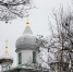 1 мая Псковский городской молодёжный центр организует субботник, приуроченный к Дню весны и труда. - Псковский городской молодёжный центр