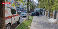 Девушка врезалась в дерево на мопеде в Пскове - InformPskov.Ru