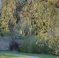 Фото: ПАИ - InformPskov.Ru