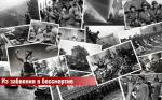Проект «Из забвения в бессмертие!» поможет найти сведения о погибшем родственнике-защитнике Отечества