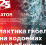 Начинается видеотрансляция программы «Беседка» о профилактике гибели людей на водоемах - Pln-Pskov.Ru
