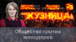 Начинается видеотрансляция программы «Кузница»: Что делать с живодерами?
