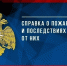 Справка о пожарах и последствиях от них за 4 месяца 2025 года - МЧС Псковской области