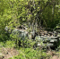 Фото здесь и далее: ПАИ - InformPskov.Ru