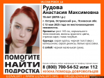Областная прокуратура начала проверку после сообщений о пропаже в Острове 15-летней девушки