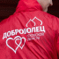 Псковский волонтер рассказала об активном развитии добровольчества - Псковская правда