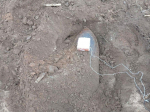 74 взрывоопасных предмета обнаружили в Псковской области с начала года