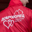 Выбрать объекты благоустройства жителям Псковской области помогают 600 волонтеров - Псковская правда