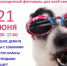 В Пскове организуют семейный зоозащитный фестиваль «Коридор 2025» - InformPskov.Ru
