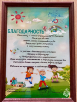 «Игрушка в добрые руки»: сотрудники МЧС России приняли участие в благотворительной акции
