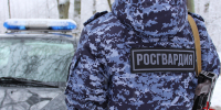 В Пскове росгвардейцы задержали псковича, совершившего хищение из магазина - Росгвардия
