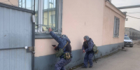 В областном центре сотрудниками Росгвардии задержан пскович, совершивший хищение фруктов из магазина - Росгвардия