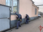 В областном центре сотрудниками Росгвардии задержан пскович, совершивший хищение фруктов из магазина
