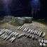 Фото с официального сайта СЗТУ (sztu.fish.gov.ru) - InformPskov.Ru